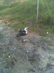 picture007.jpg
