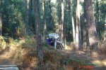 DSC00533 1.jpg