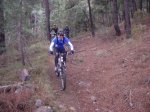 Alcudia 019.jpg