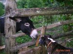 PIC_0025.JPG