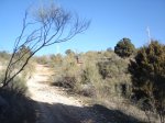 DSC01745.JPG