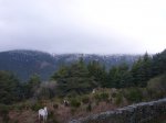 Foto1.JPG