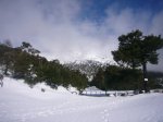 Foto10.JPG