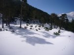 Foto17.JPG