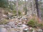 Foto25.JPG