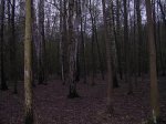 DSCN1223.jpg