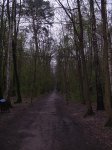 DSCN1222.jpg