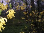 DSCN1186.jpg