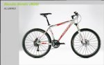 MTB.jpg