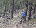 DSCN3919.jpg