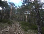 DSCN3929.jpg