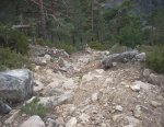 DSCN3933.jpg
