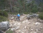 DSCN3935.jpg