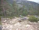 DSCN3936.jpg