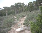 DSCN3944.jpg