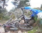 DSCN3964.jpg