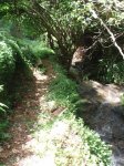 imagen 024_2.jpg