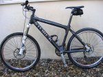STORCK1.jpg