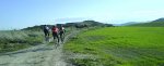 dsc00223ll9.jpg