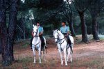 guardias_caballo.jpg