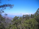 DSCN8574.JPG