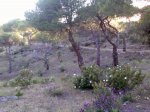 Imagen080.jpg