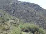 DSC07069.jpg