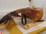 DSC01773r.jpg