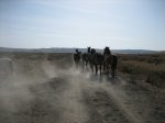 IMG_0236.JPG