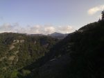 2008 04 024.jpg