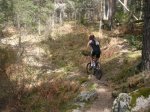 Foto6.JPG