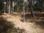 Foto9.JPG