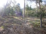 Foto12.JPG