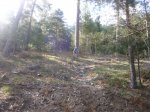 Foto13.JPG