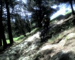 DH del monte JANTO.jpg