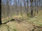 Morcuera (26-04-08) 047.jpg