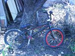 bmx1.jpg