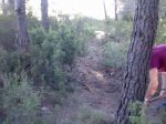 Imagen004.jpg