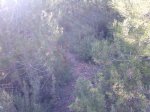 Imagen014.jpg