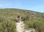DSC00240.jpg