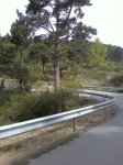 Foto0392.jpg