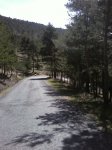 Foto0409.jpg
