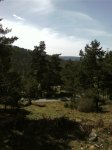 Foto0410.jpg