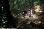 Downhill_Macanet_de_Cabrenys_ 488.JPG