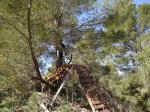 Porreres (11).JPG