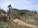 only-bikers1.jpg