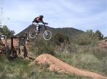 only-bikers 2.jpg