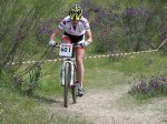 P1010210 (Custom).jpg