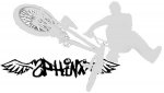 pegatina talwhip spinx.JPG