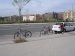 DSCN5993.jpg